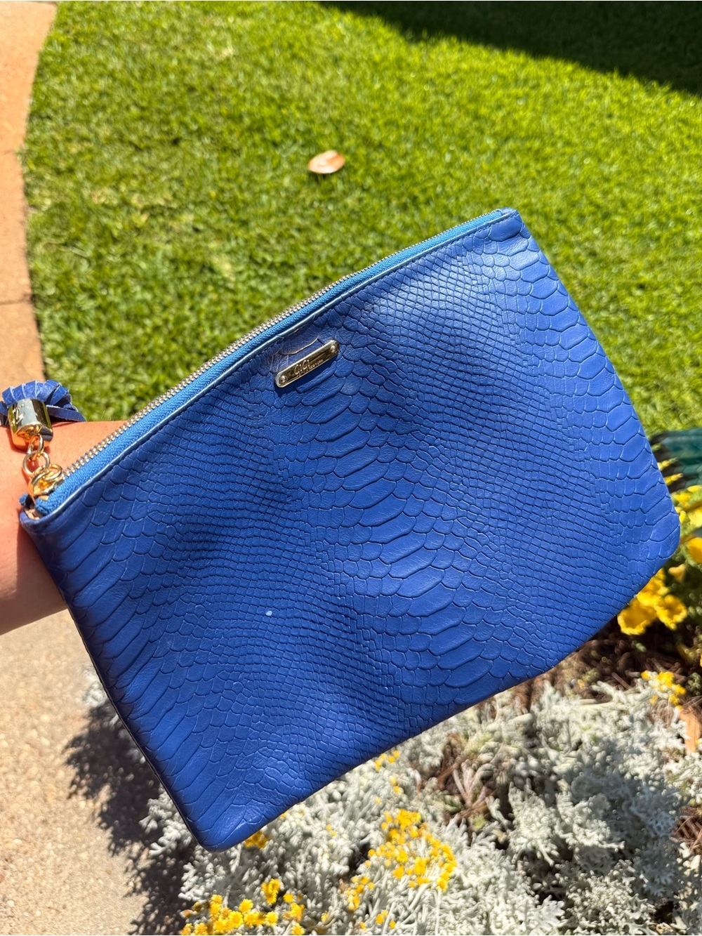 Blue Snake Print Clutch